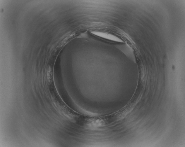 X0000067880073200604201254