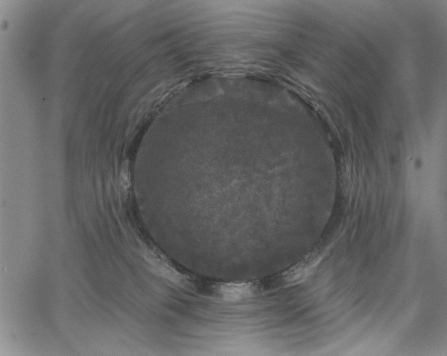 X0000067880085200604201254