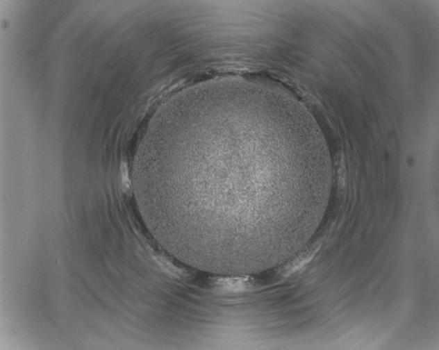 X0000067880089200604201254