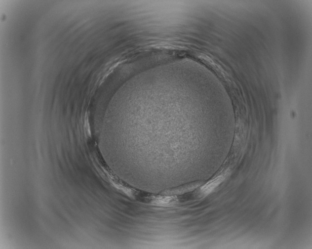 X0000067880096200604201254