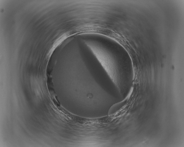X0000067880099200604201254