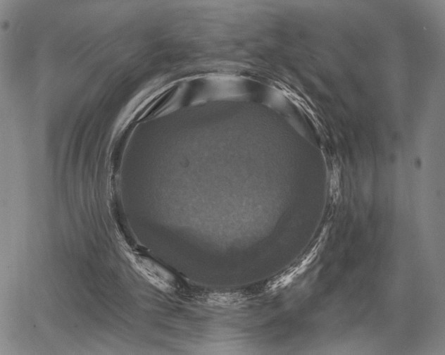 X0000067880101200604201254