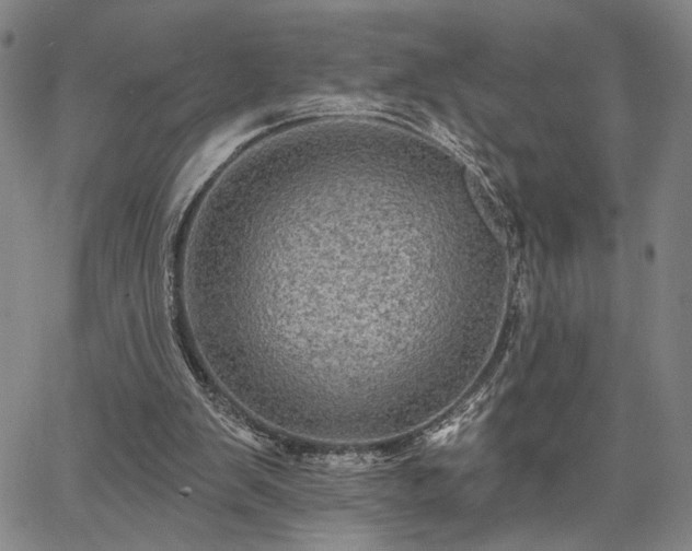 X0000067880103200604201253