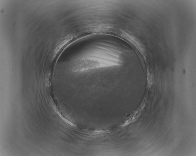 X0000067880105200604201253