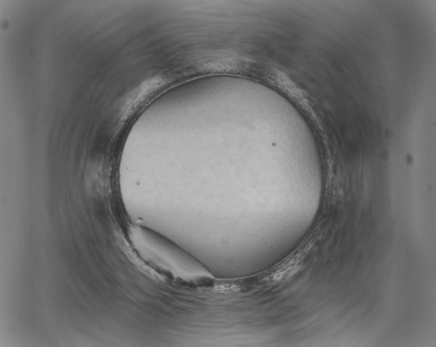 X0000067880106200604201253