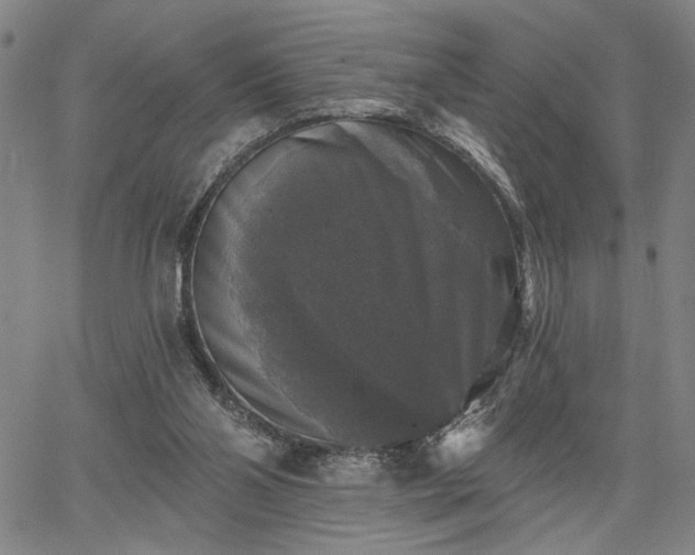 X0000067880110200604201253