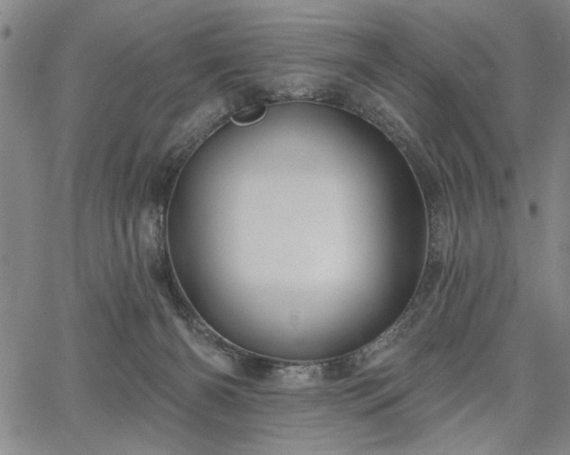 X0000067880126200604201253