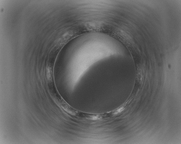 X0000067880130200604201253