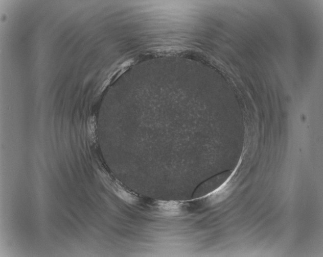 X0000067880144200604201253