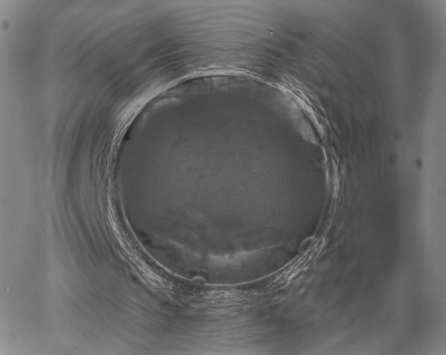 X0000067880145200604201252