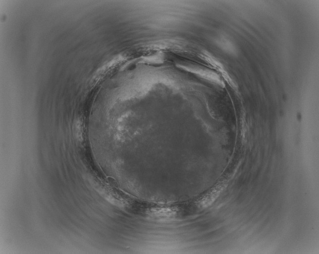 X0000067880161200604201252