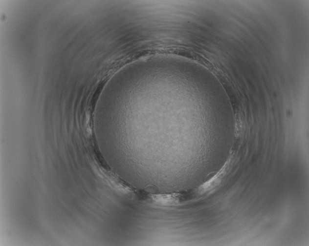 X0000067880187200604201253