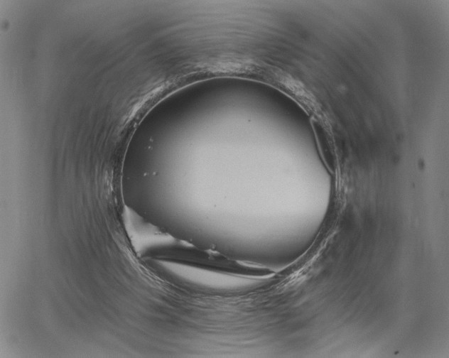 X0000067880201200604201252