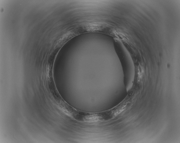 X0000067880219200604201252