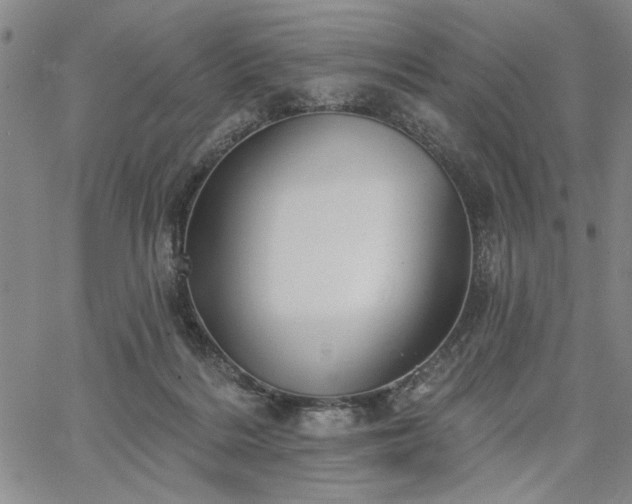 X0000067880220200604201252