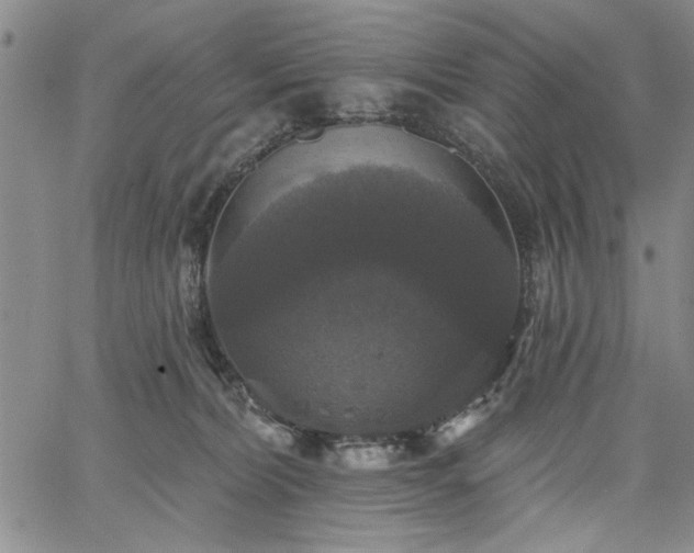 X0000067880228200604201251