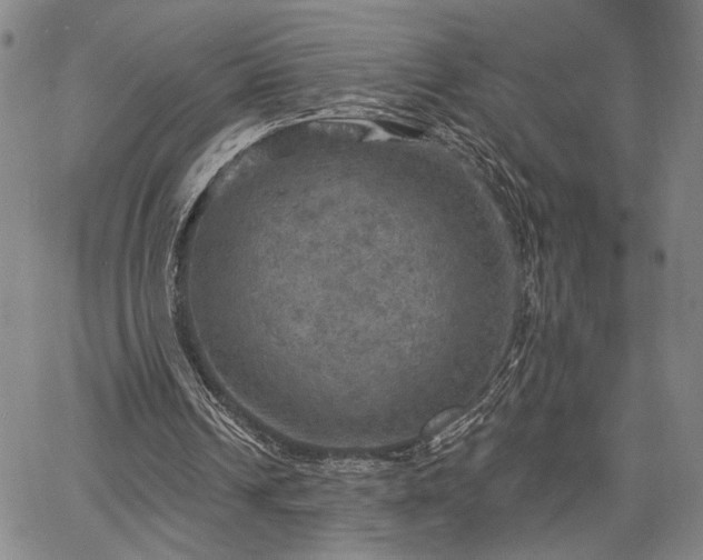 X0000067880242200604201250