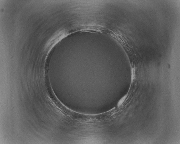 X0000067880243200604201250