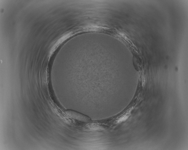 X0000067880244200604201250