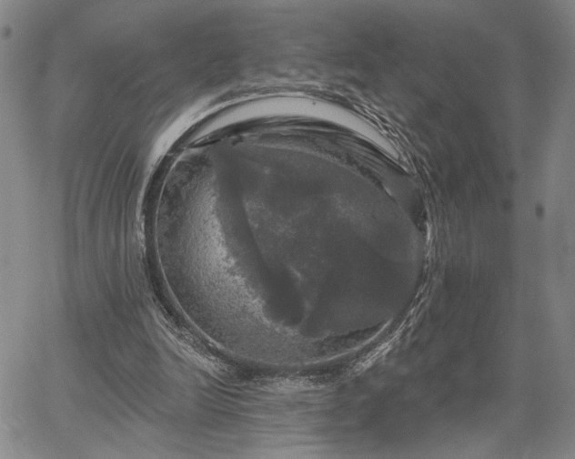 X0000067880246200604201250