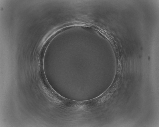 X0000067880247200604201251