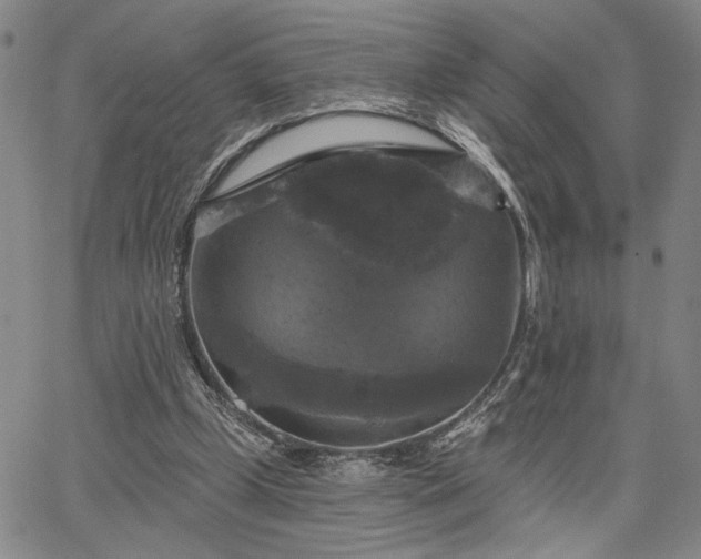 X0000067880249200604201251