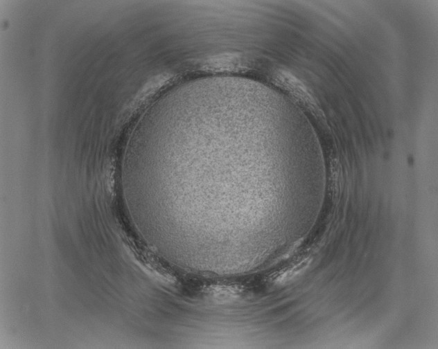 X0000067880255200604201251