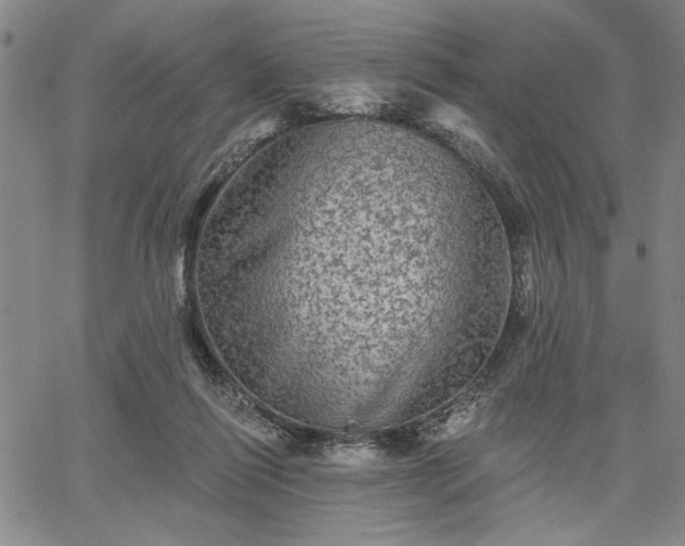X0000067880262200604201251