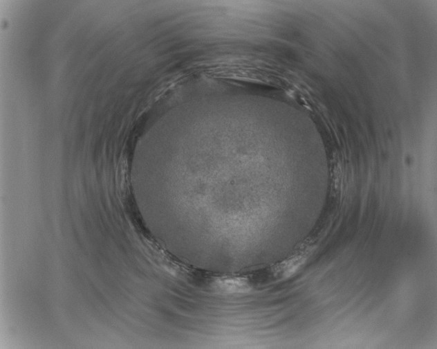 X0000067880283200604201251