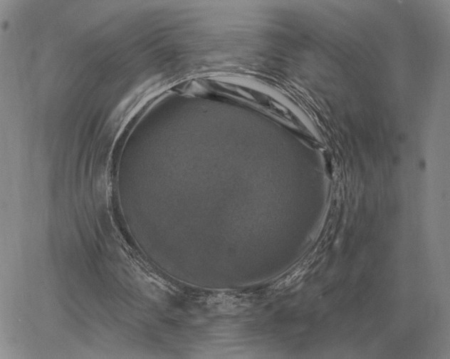 X0000067880290200604201250