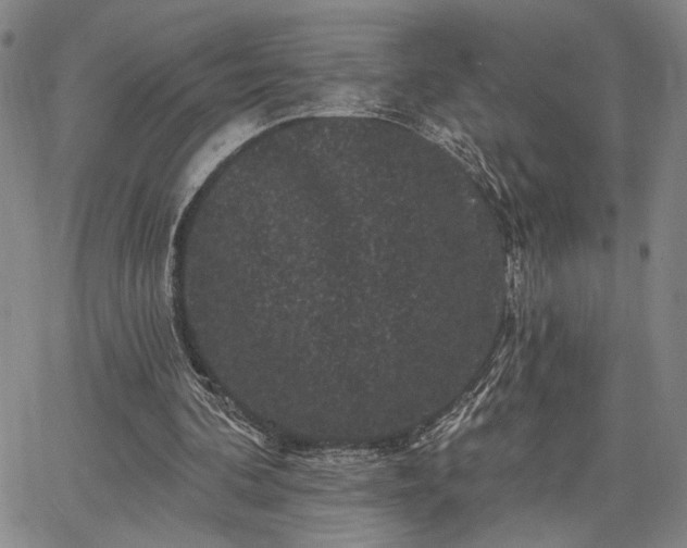 X0000067880292200604201250