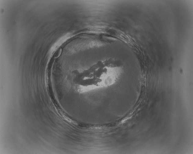 X0000067880294200604201250