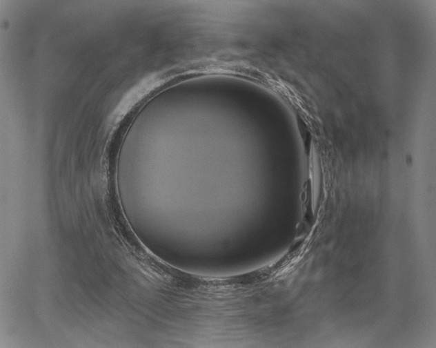 X0000067880295200604201250