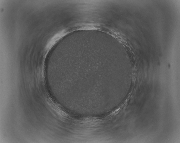 X0000067880296200604201250