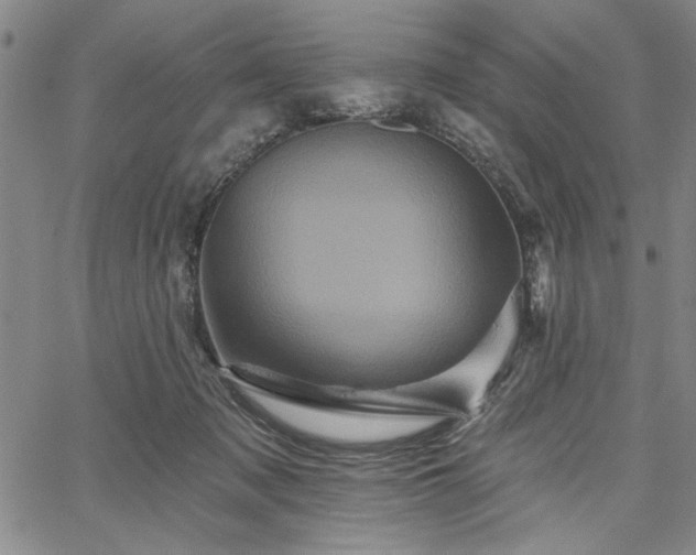 X0000067880317200604201250