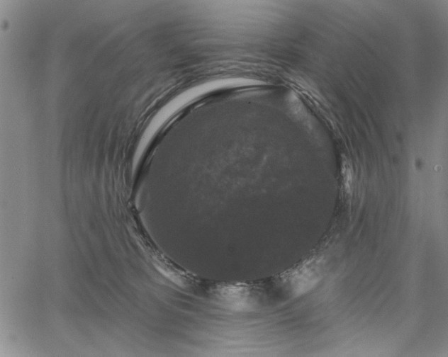 X0000067880325200604201250