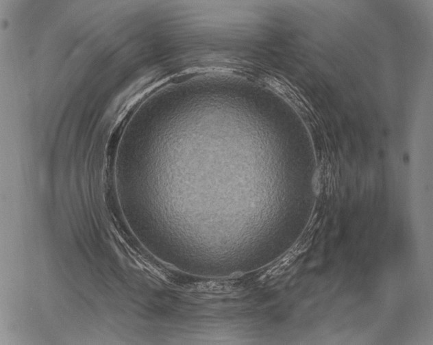 X0000067880338200604201249