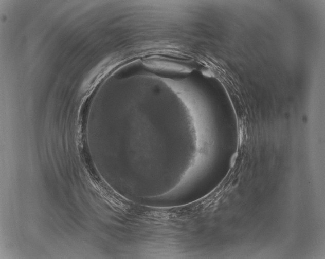 X0000067880339200604201249