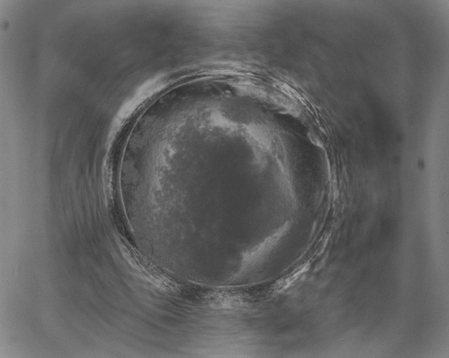 X0000067880343200604201249