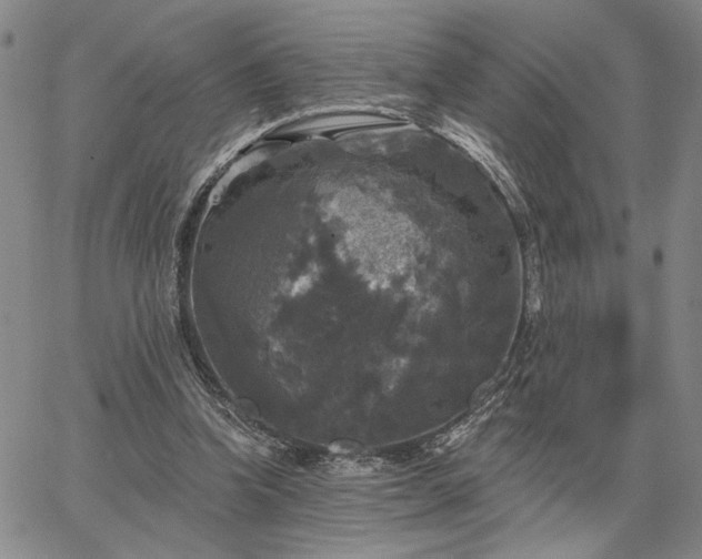 X0000067880346200604201249
