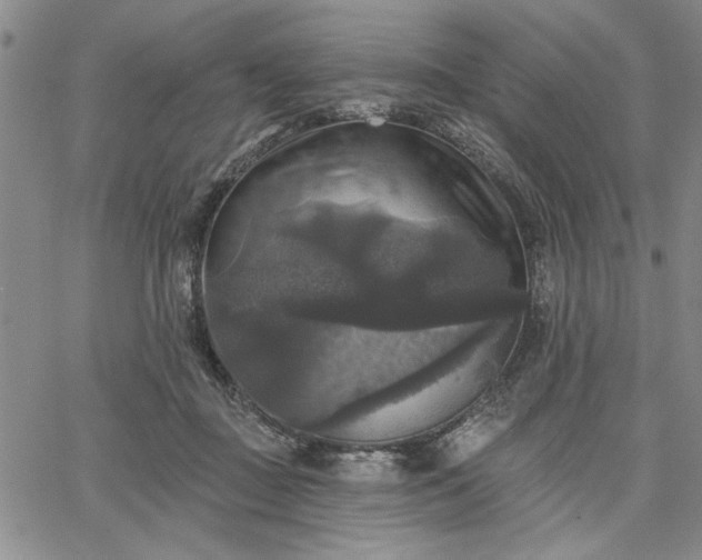 X0000067880363200604201249