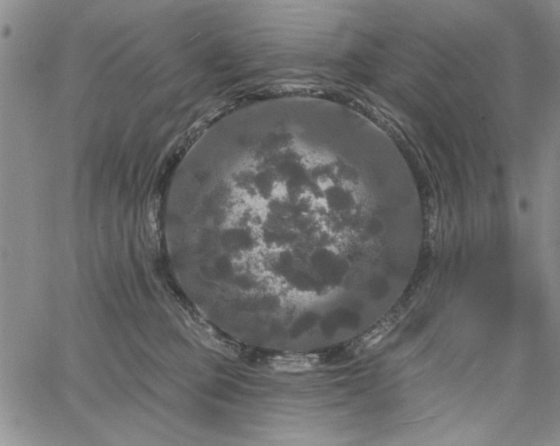 X0000067880373200604201249