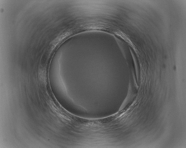 X0000067880386200604201249