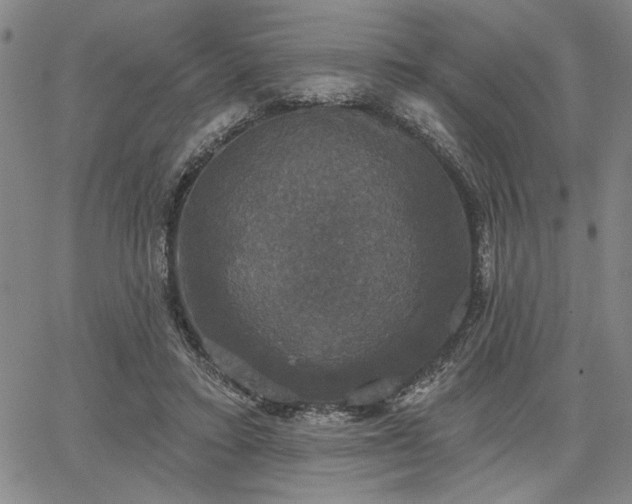 X0000067880403200604201248