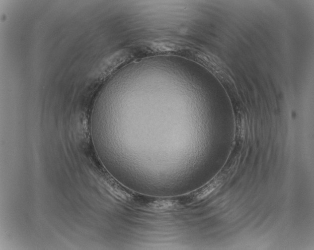 X0000067880418200604201248