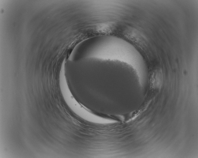 X0000067880424200604201248