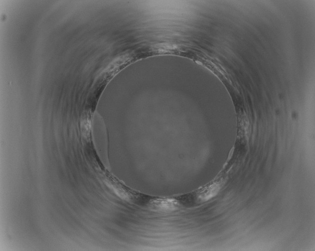 X0000067880427200604201248