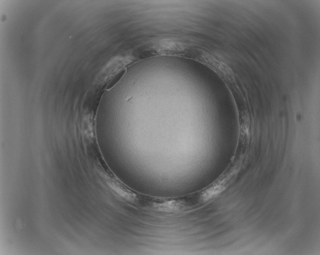 X0000067880430200604201248