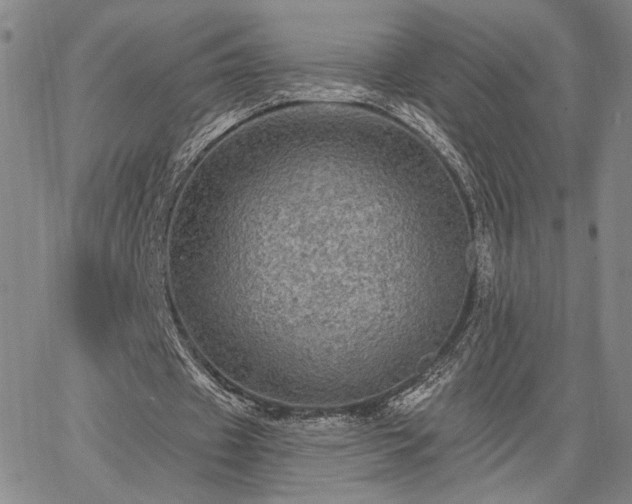 X0000067880433200604201247