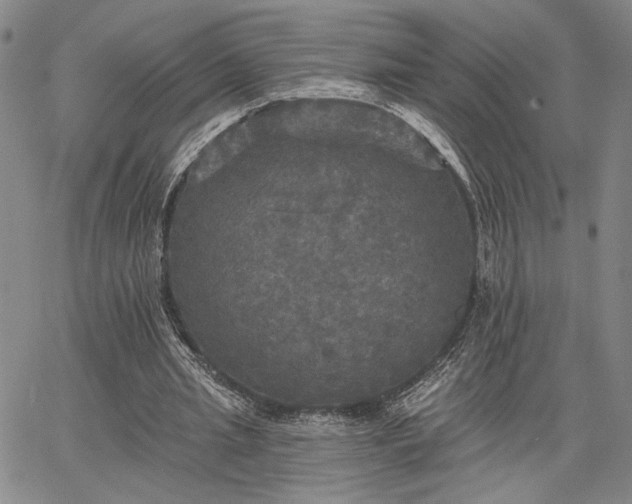 X0000067880437200604201247
